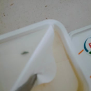 Ekici Peynir Küf Ve Kurt Çıktı