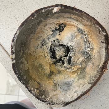 Metro Grossmarket Hindistan Cevizi Çürük Çıktı