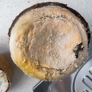 Metro Grossmarket Hindistan Cevizi Çürük Çıktı