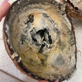 Metro Grossmarket Hindistan Cevizi Çürük Çıktı