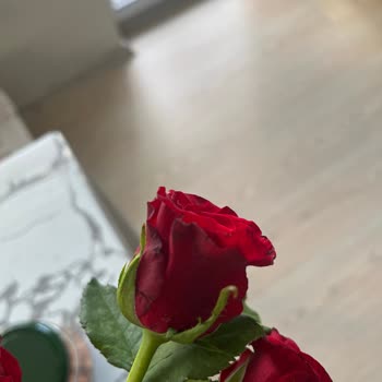 Çiçek Sepeti Solmuş Güller