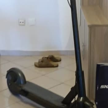 Martı Kusurlu Hediye Verilmesi