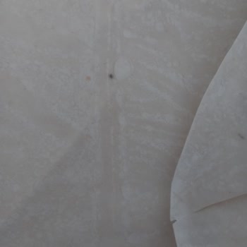 BİM'den Aldığım Connex Böreklik Yufkada Fare Pisliği