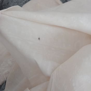 BİM'den Aldığım Connex Böreklik Yufkada Fare Pisliği