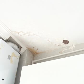 TOKİ Konutlarında Çatıdan Daire İçlerine Sürekli Su Akıyor Çatılardan