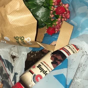 Migros Fazla Ve Canlı Çiçek