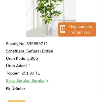 Çiçek Sepeti'nde Sanallar Şahane Gönderilenler Utandırıcı