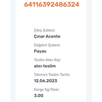 Sürat Kargo Kargomun Teslim Edilmemesi