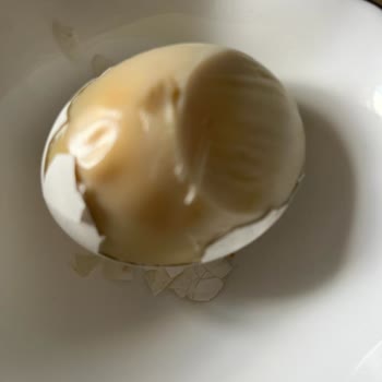 Migros'tan Alınan Bozuk Yumurta