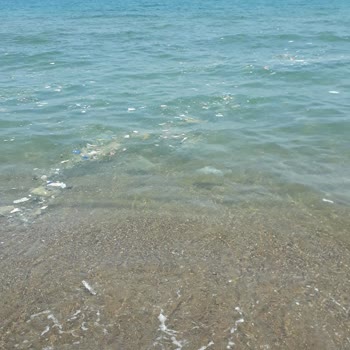 Çevre, Şehircilik Ve İklim Değişikliği Bakanlığı Çevre Deniz Ve Plajların Kirliliği