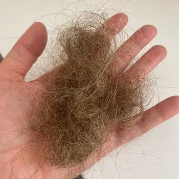 OGX Dolgunlaştırıcı Şampuan Saç Köklerimi Yaktı