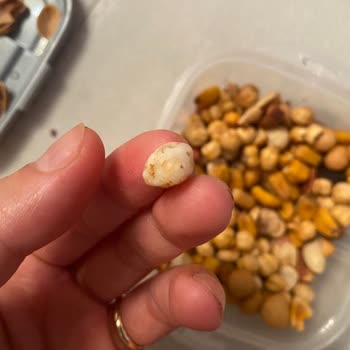 Çerezya Soslu Fıstık İçinden Taş Çıkması!