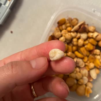 Çerezya Soslu Fıstık İçinden Taş Çıkması!