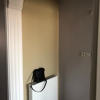 Marshall Beyaz Lale Rengi Hüsranı