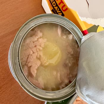 Dardanel Ton Bozuk Ton Balığı!