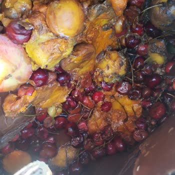 Aras Kargo Paketlere Gösterilmeyen Özen