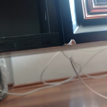 Express Evden Eve Nakliyat (Bursa) Hasarlı Eşyalar