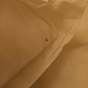 Assos Dove Hotel'de Müşteri Deneyimi!