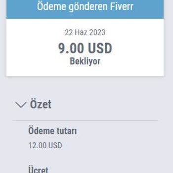 Payoneer Komisyon Ücretlerine Sadık Kalmaması
