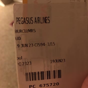 Pegasus Kayıp Bagaj Sorunu