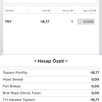 Ziraat Yatırım -18.77 Bakiye Olması