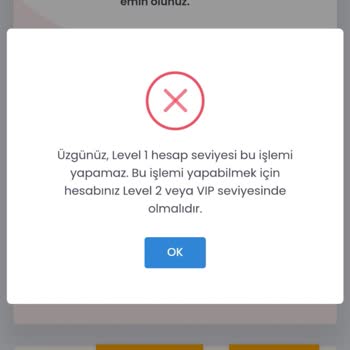 Halk Yatırım İle Yaşadığım Sorunlar