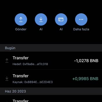 Trust Wallet Transfer Yaptığım Coin Görünmüyor