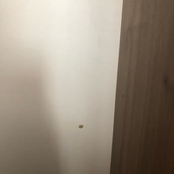 İltaş Evden Eve Nakliyat (Bursa) Taşınma Sorunu