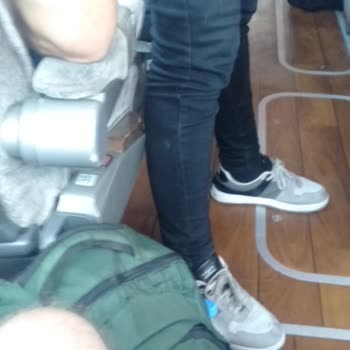Ayar Aydın Seyahat Aşı Karneli Kedimi, Otobüste Hava Almayan Bir Yere Kapatmak İstediler