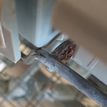 Vestel Küflü Bulaşık Makinesini Değiştirmiyor