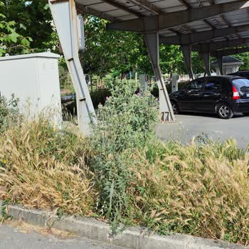 TOKİ Yaptığı Park Ve Millet Bahçelerinin Bakımını Yapmıyor!