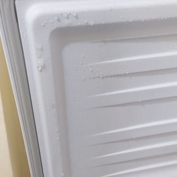 Beko Derin Dondurucu Servisten Çıkmıyor