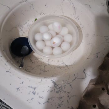 A101 Pişmanlıktır Çalışanlar Eğitimsiz