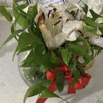 ÇiçekSepeti Kusurlu, Çöp Olmuş Ürün Gönderilmesi.