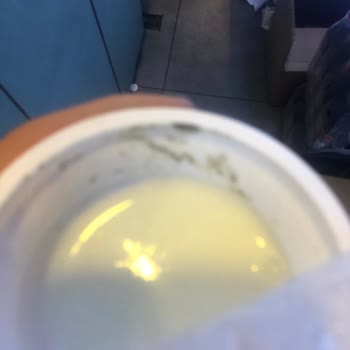 Eker Küflenme Ve Benzeri Şeyler