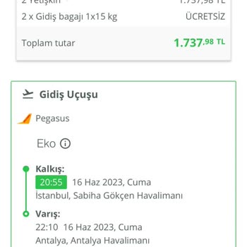 Pegasus Hava Yolları Check-in Sorunu