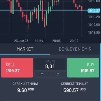 Hmd Fx İşlem Yapmama Engel Konulması