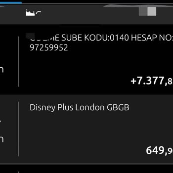 Disney Plus Üyelik İptali