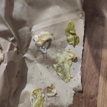 Burger King Artık Taze Ürün Göndermiyor
