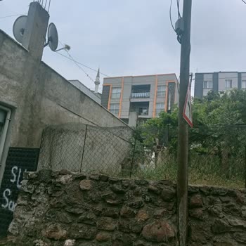 Türk Telekom Bahçemizin Tam Ortasında Bulunan Telefon Direği
