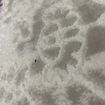 Antik Halı Yıkama Kötü Deneyim!