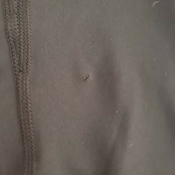 Nike Defolu Ürün Orijinal Değil Sanki Bu Magza