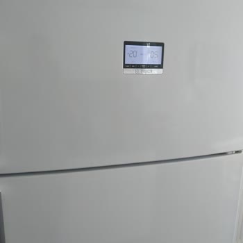 Bosch Refrigerator, Spoilt Food, and Outstanding Issues