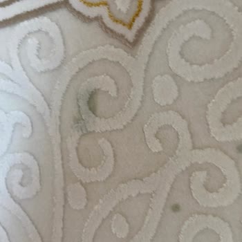 Has Halı Yıkama (Denizli) Denizli Has Halı Yıkama Halılarımı Mahvetti