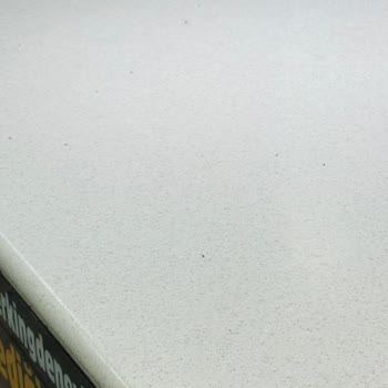 Burger King Muğla Rüya AVM'deki Şubenizdeki Tezgahın Üstü Sinek Ve Küçük Böceklerle Dolu