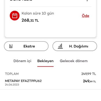 Meta Pay Şüpheli Harcama İşlemi