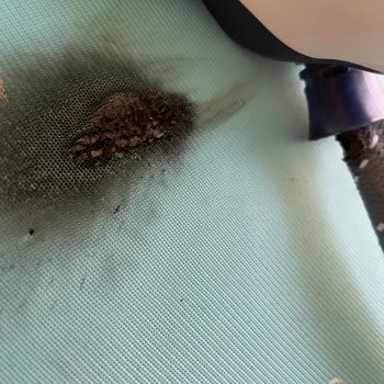 Tefal Ütüm Biranda Yandı