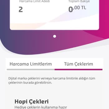 Sodexo Kart Tanımlama Hatası, Maile Dönüş Yapılmıyor