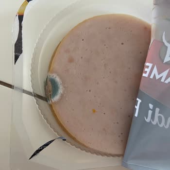 Namet'in Küflü Füme Salamı