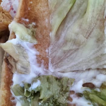 Migros Yemeğin Vasatlığı ve Popeyes'in Pis Yemek Sunumu